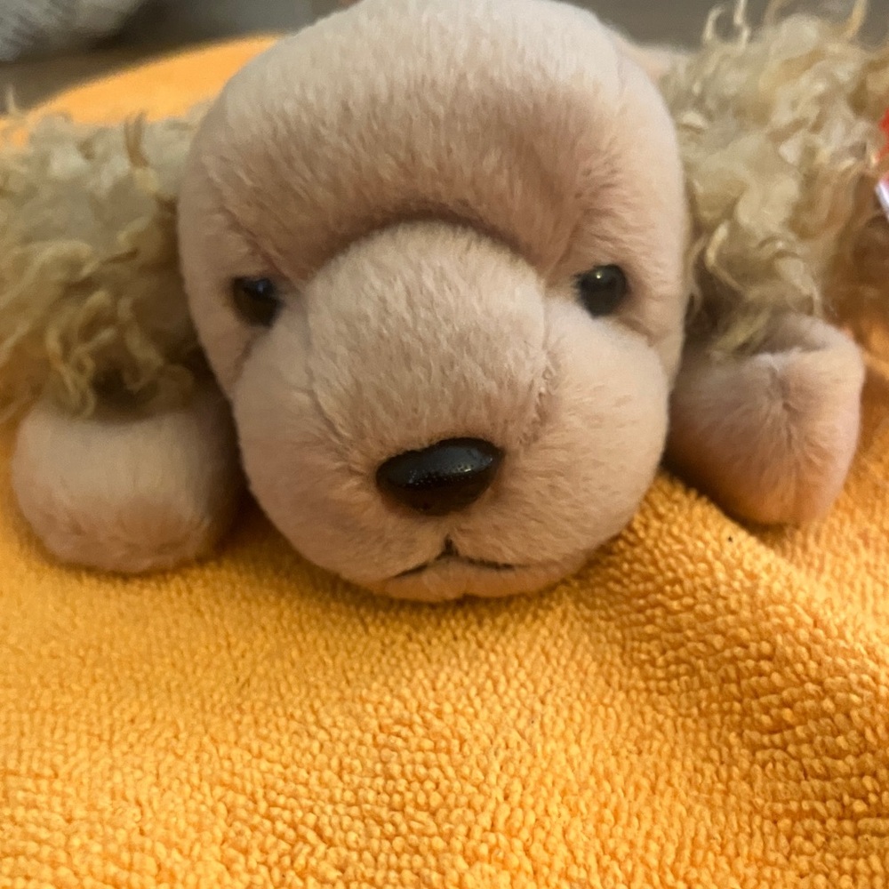 Ty Beanie Babies Spunky Dog Plush - Cream and Brown - Picture 6 of 7